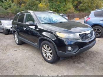  Salvage Kia Sorento