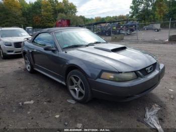  Salvage Ford Mustang