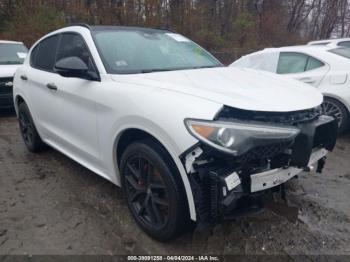  Salvage Alfa Romeo Stelvio