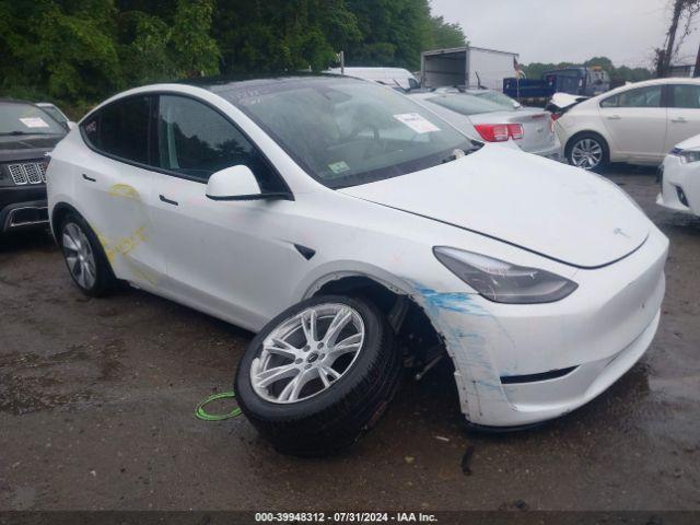  Salvage Tesla Model Y