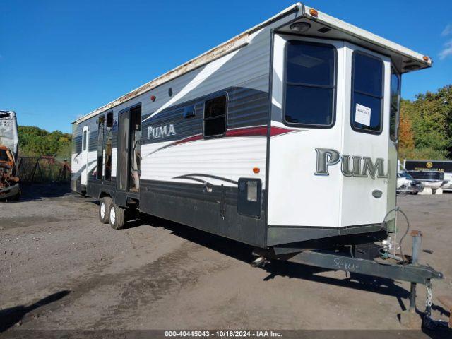  Salvage Palomino Puma 39bht