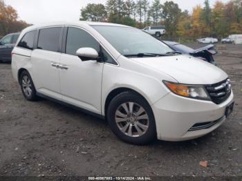  Salvage Honda Odyssey