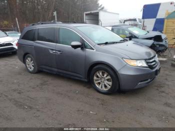  Salvage Honda Odyssey