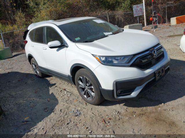  Salvage Honda CR-V