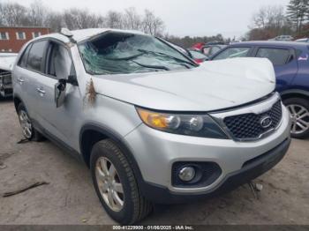  Salvage Kia Sorento