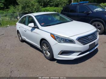  Salvage Hyundai SONATA