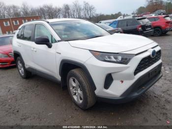  Salvage Toyota RAV4