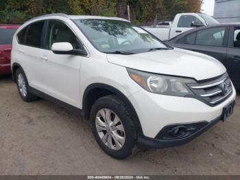  Salvage Honda CR-V