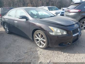  Salvage Nissan Maxima