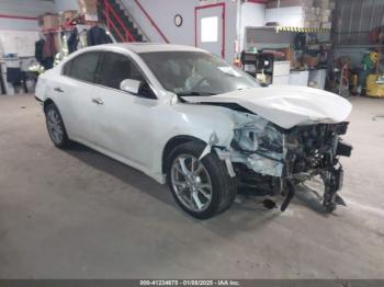  Salvage Nissan Maxima