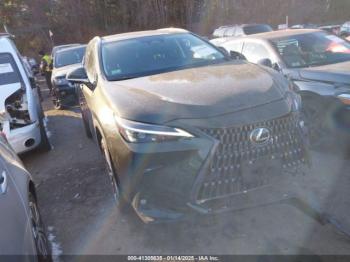  Salvage Lexus NX