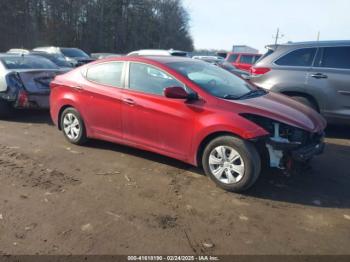  Salvage Hyundai ELANTRA