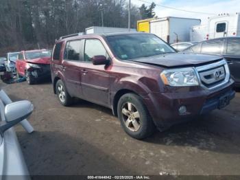  Salvage Honda Pilot