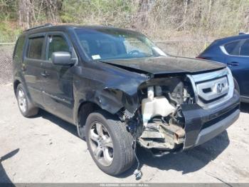  Salvage Honda Pilot