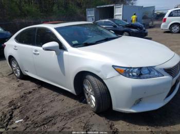  Salvage Lexus Es