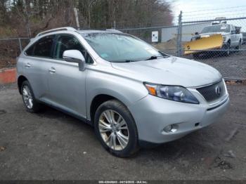  Salvage Lexus RX