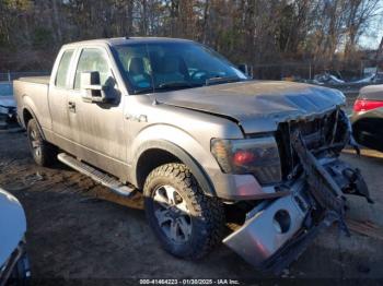  Salvage Ford F-150