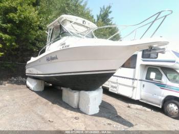  Salvage Robalo Other