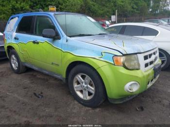  Salvage Ford Escape