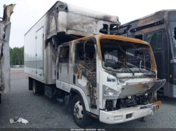  Salvage Isuzu Nqr