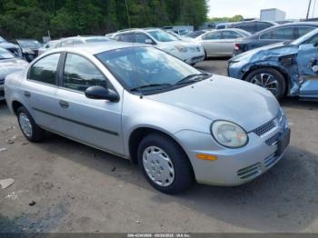  Salvage Dodge Neon