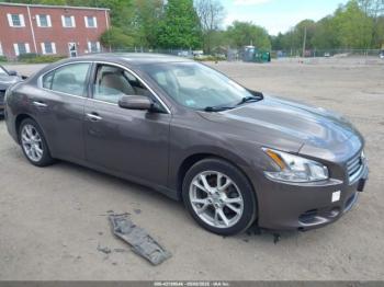  Salvage Nissan Maxima