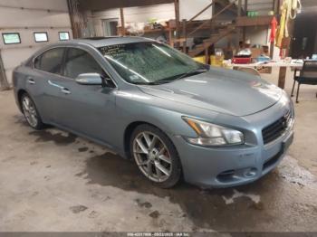  Salvage Nissan Maxima
