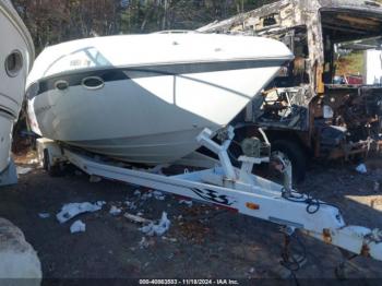  Salvage Baja Other