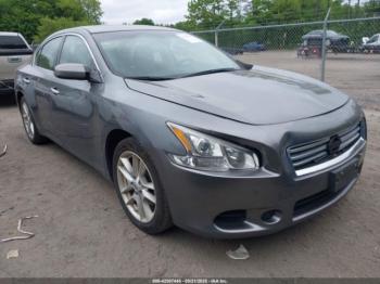  Salvage Nissan Maxima