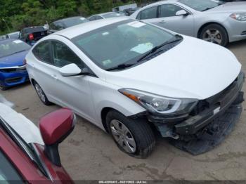  Salvage Hyundai ELANTRA