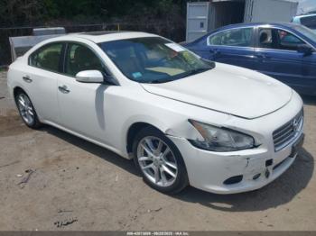  Salvage Nissan Maxima