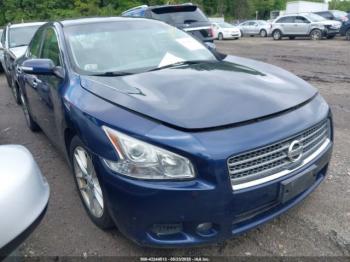  Salvage Nissan Maxima