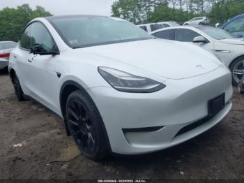  Salvage Tesla Model Y