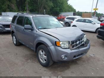  Salvage Ford Escape