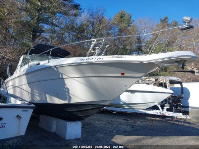  Salvage Sea Ray Other