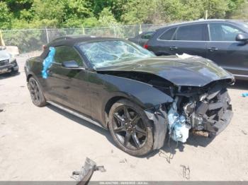  Salvage Ford Mustang