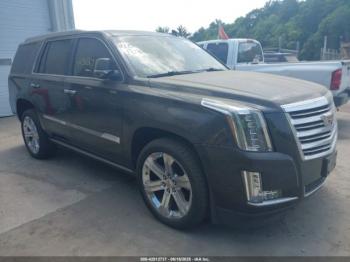  Salvage Cadillac Escalade