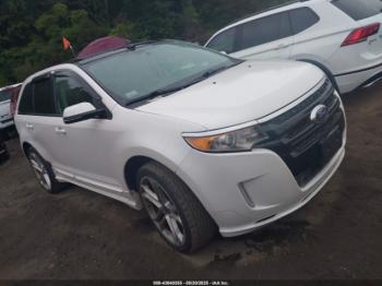  Salvage Ford Edge