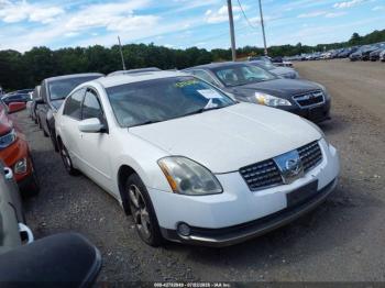  Salvage Nissan Maxima