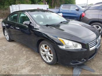  Salvage Nissan Maxima