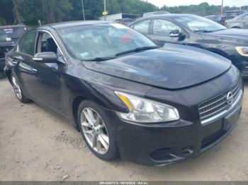  Salvage Nissan Maxima
