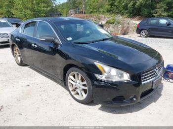  Salvage Nissan Maxima