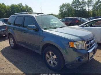  Salvage Ford Escape