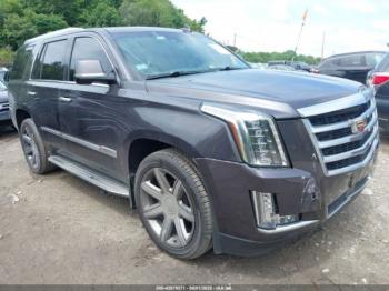  Salvage Cadillac Escalade