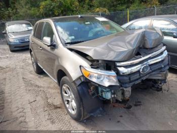  Salvage Ford Edge