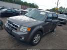 Ford Escape Xlt Image 3