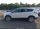 Ford Escape Titanium Image 13