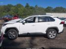 Toyota RAV4 Xle Image 7