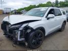 Hyundai PALISADE Xrt Image 3