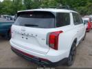Hyundai PALISADE Xrt Image 16